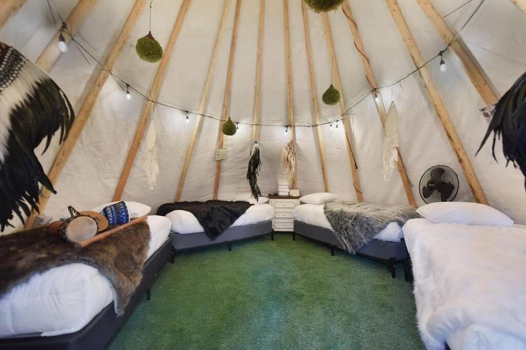 Enchanted Forest Cabin And Teepee! Lights & Laser Show! Private Hot Tub! Unique Stay! Sevierville Zewnętrze zdjęcie