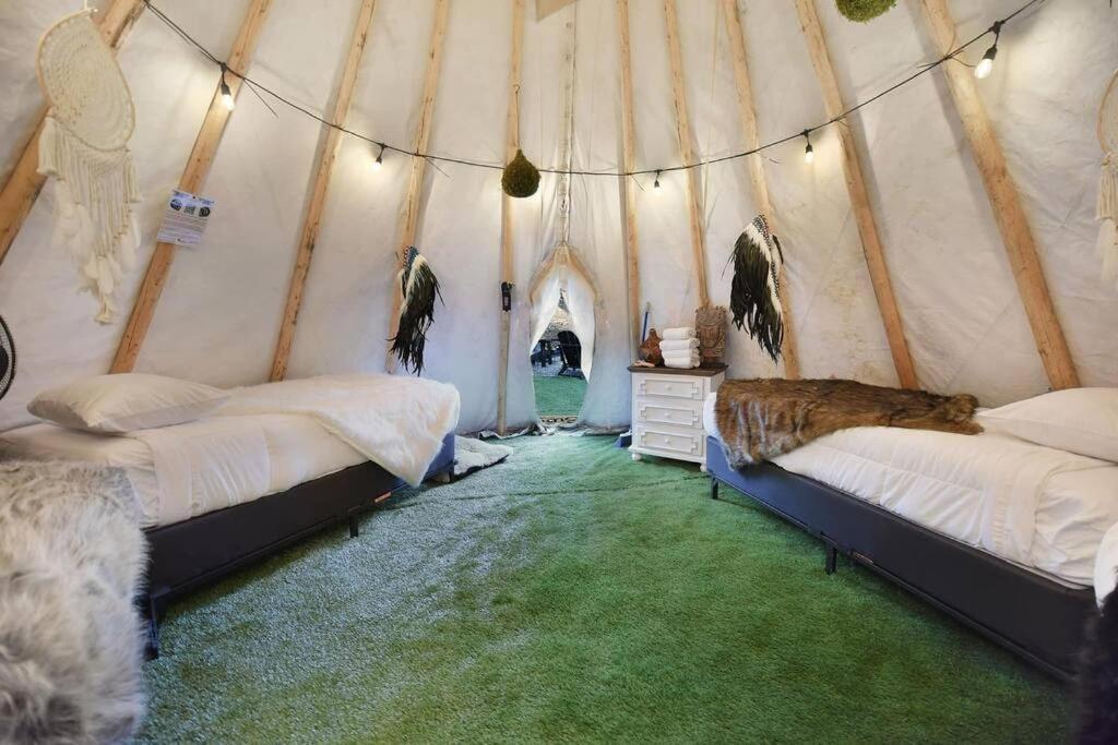 Enchanted Forest Cabin And Teepee! Lights & Laser Show! Private Hot Tub! Unique Stay! Sevierville Zewnętrze zdjęcie